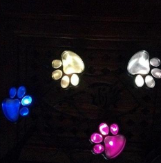 Garden Solar Bear Paw Light